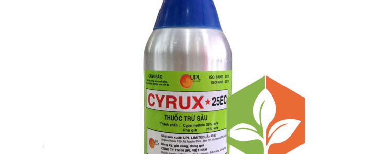 CYRUX-25EC-CHAI-500ML