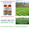 DUAONE-735EC-trừ-cỏ-đậu-phộng