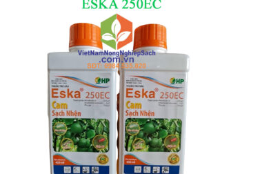 ESKA 250EC – SẠCH SÂU VẼ BÙA GÂY HẠI TRÊN CÂY CAM