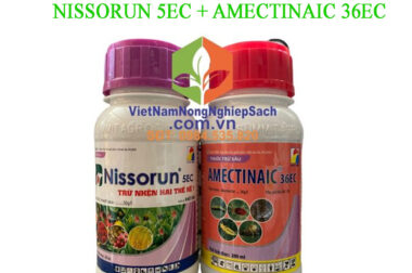 NISSORUN 5EC VÀ AMECTINAIC 36EC – ĐẶC TRỊ CÁC LOẠI SÂU NHỆN ĐỎ GÂY HẠI CHO CÂY