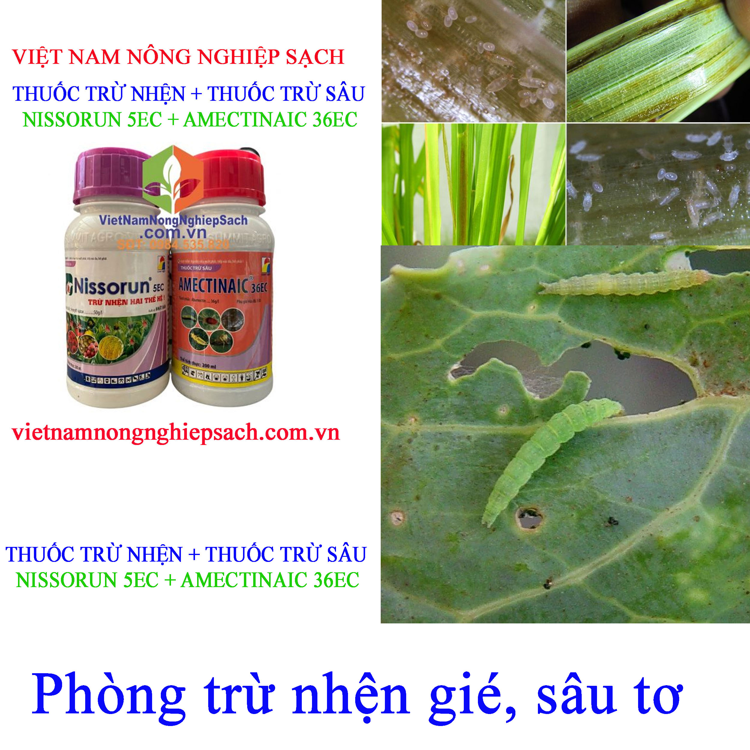 NISSORUN-5EC-VÀ-AMECTINAIC-36EC-nhện-gié