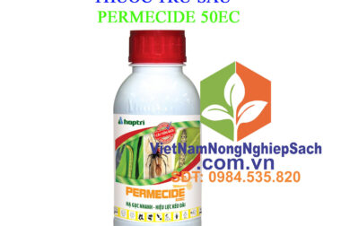 PERMECIDE 50EC – THUỐC TRỪ SÂU CUỐN LÁ, BỌ XÍT MUỖI, SÂU KHOANG