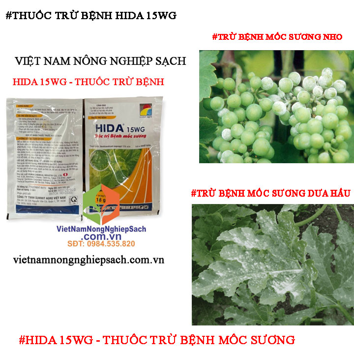 HIDA-MỐC-SƯƠNG