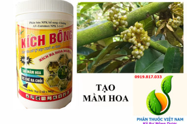 KÍCH BÔNG – THUỐC KÍCH RA HOA DÀNH CHO MỌI LOẠI CÂY TRỒNG