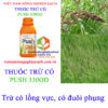 PUSH-330OD-cỏ-lồng-vực