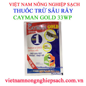 CAYMAN-GOLD-33WP-GÓI-100GR