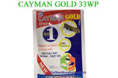 CAYMAN GOLD 33WP – DIỆT TRỪ SÂU, RẦY NHANH – TRIỆT ĐỂ GÓI 100GR – VIỆT NAM NÔNG NGHIỆP SẠCH