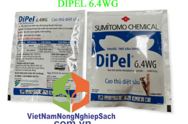 DIPEL 6.4WG – CAO THỦ DIỆT SÂU TƠ VÀ SÂU CUỐN LÁ GÓI 50GR – VIỆT NAM NÔNG NGHIỆP SẠCH