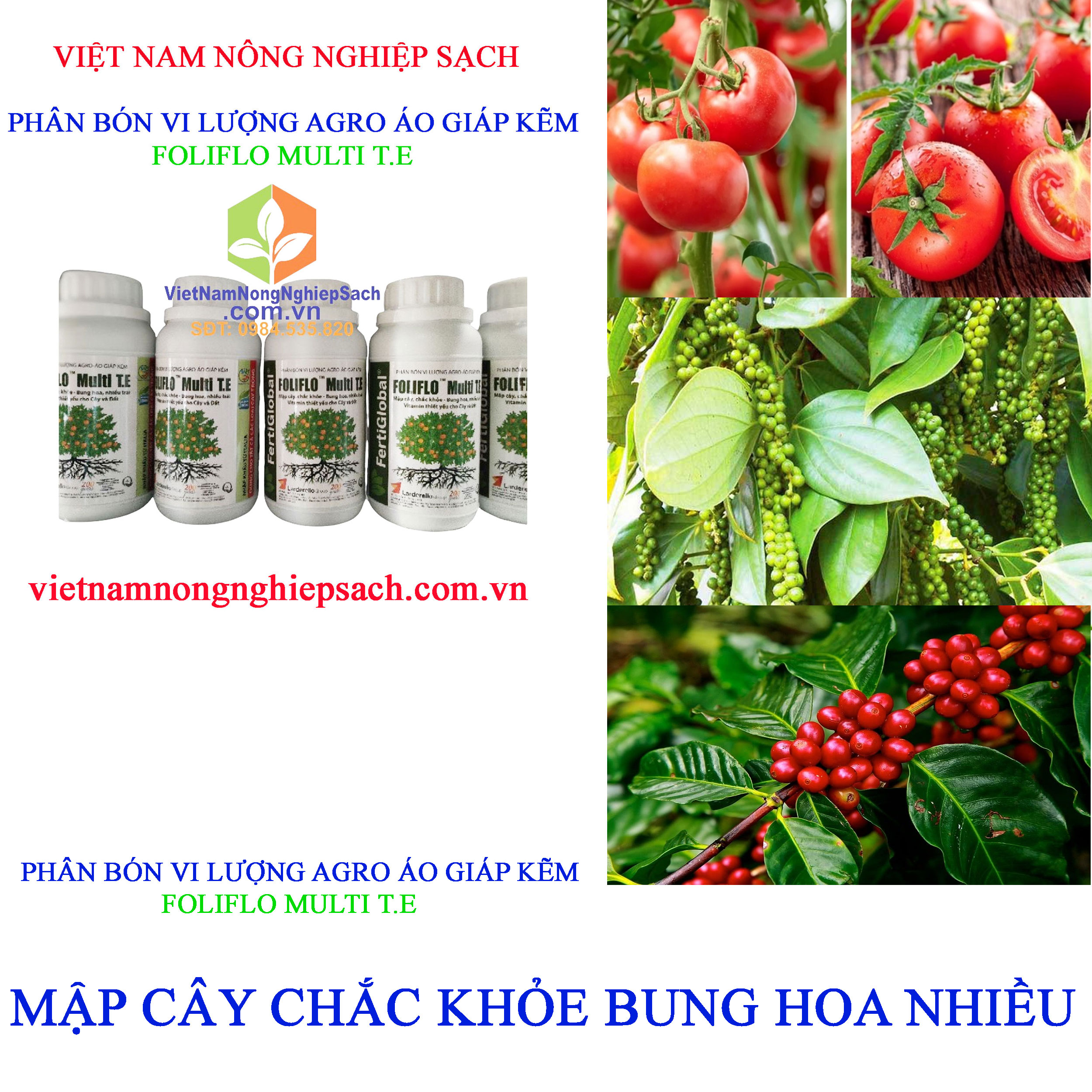 FOLIFLO-MULTI-T.E-mập-cây