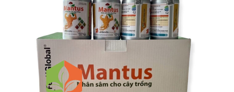 MANTUS