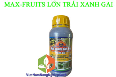 MAX – FRUITS LỚN TRÁI XANH GAI SỬA TƯỚNG TRÁI NGĂN MÉO TRÁI, LÉP MÚI, LÉP HỘC CHAI 500ML – VIỆT NAM NÔNG NGHIỆP SẠCH