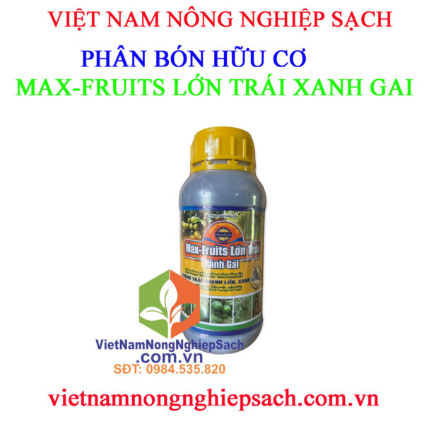 MAX-FRUITS-LỚN-TRÁI-XANH-GAI