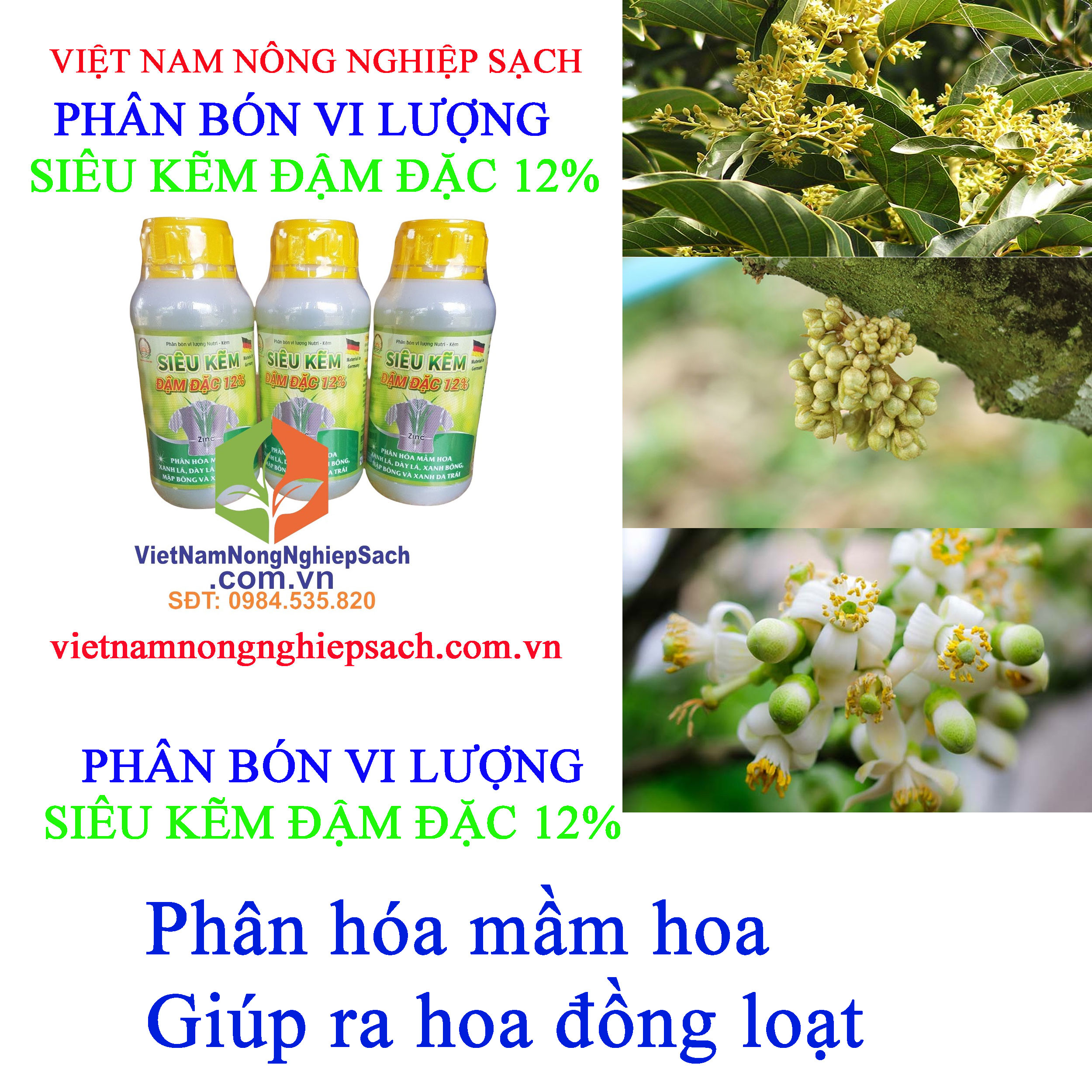 SIÊU-KẼM-ĐẬM-ĐẶC-12%