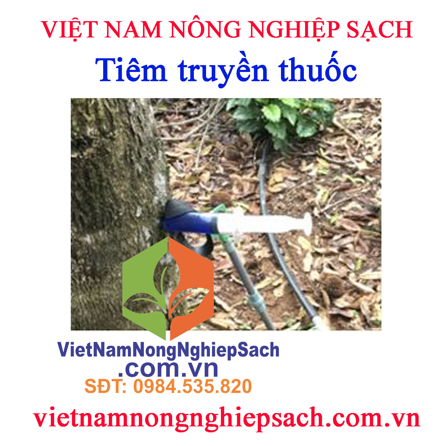 Tiêm-truyền-thuốc