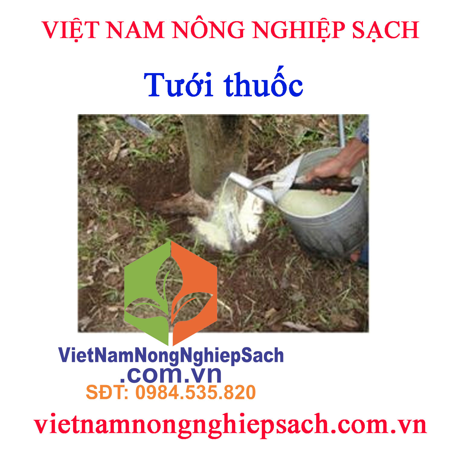 Tưới-thuốc