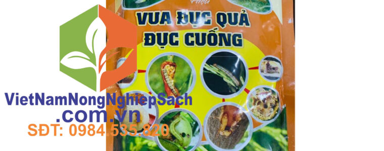 VUA-ĐỤC-QUẢ