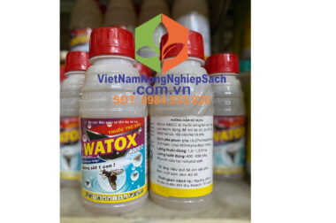 WATOX 400EC – ĐẶC TRỊ RỆP SÁP GÂY HẠI TRÊN CÂY CÀ PHÊ