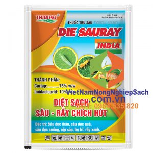 DIE-SAURAY-INDIA