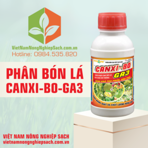 PHÂN BÓN LÁ CANXI-BO-GA3