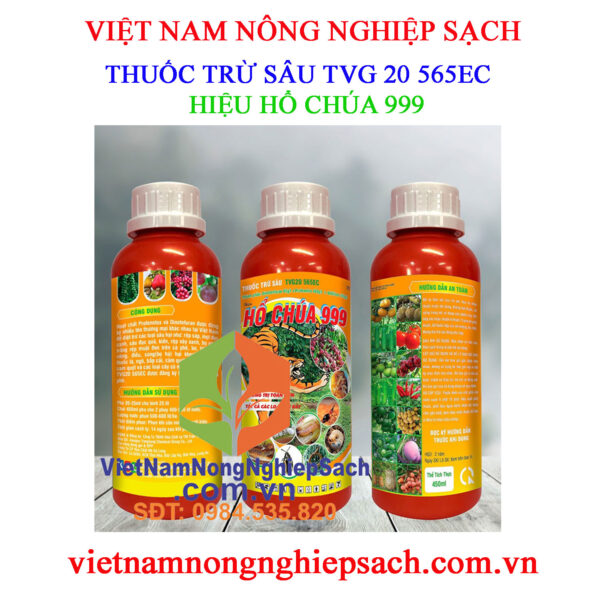 HỔ-CHÚA-999