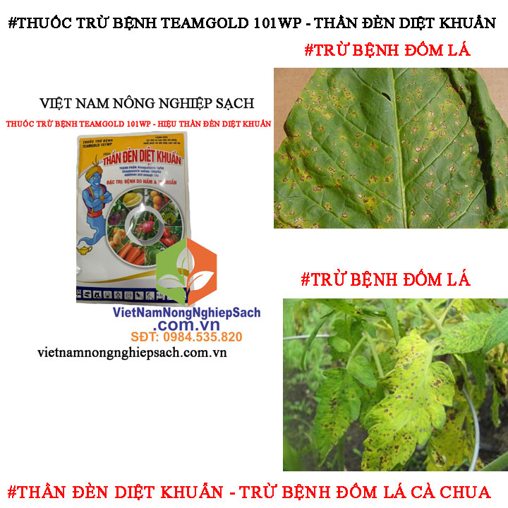 THẦN-ĐÈN-DIỆT-KHUẨN-ĐỐM-LÁ