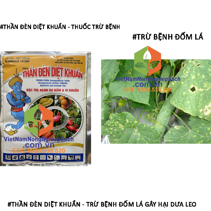 THẦN-ĐÈN-DIỆT-KHUẨN-ĐỐM-LÁ