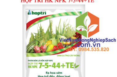 PHÂN BÓN LÁ HỖN HỢP – HỢP TRÍ HK NPK 7-5-44+TE RA HOA SỚM, HOA TRỔ ĐỀU, ĐỒNG LOẠT GÓI 250GR VIỆT NAM NÔNG NGHIỆP SẠCH