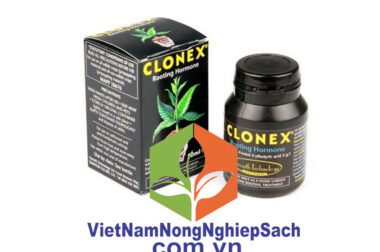 Clonex Rooting Gel Hormongel Grow Wachstum Wurzelstimmulator Root Hormon Booster – VIỆT NAM NÔNG NGHIỆP SẠCH