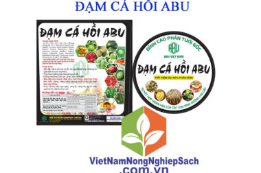 ĐẠM CÁ HỒI ABU – ĐÂM CÀNH MẠNH, TRÁI PHÌ CĂNG, TẠO MÀU TRÁI, RA RỄ KHỎE XÔ 20KG – VIỆT NAM NÔNG NGHIỆP SẠCH