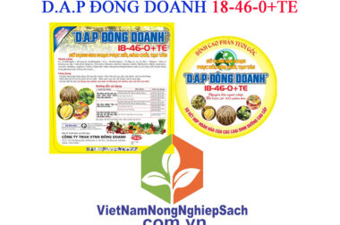 D.A.P ĐÔNG DOANH 18-46-0+TE – CHUYÊN DÙNG GIAI ĐOẠN PHỤC HỒI, ĐÂM CHỒI, TẠO TÁN XÔ 20KG – VIỆT NAM NÔNG NGHIỆP SẠCH