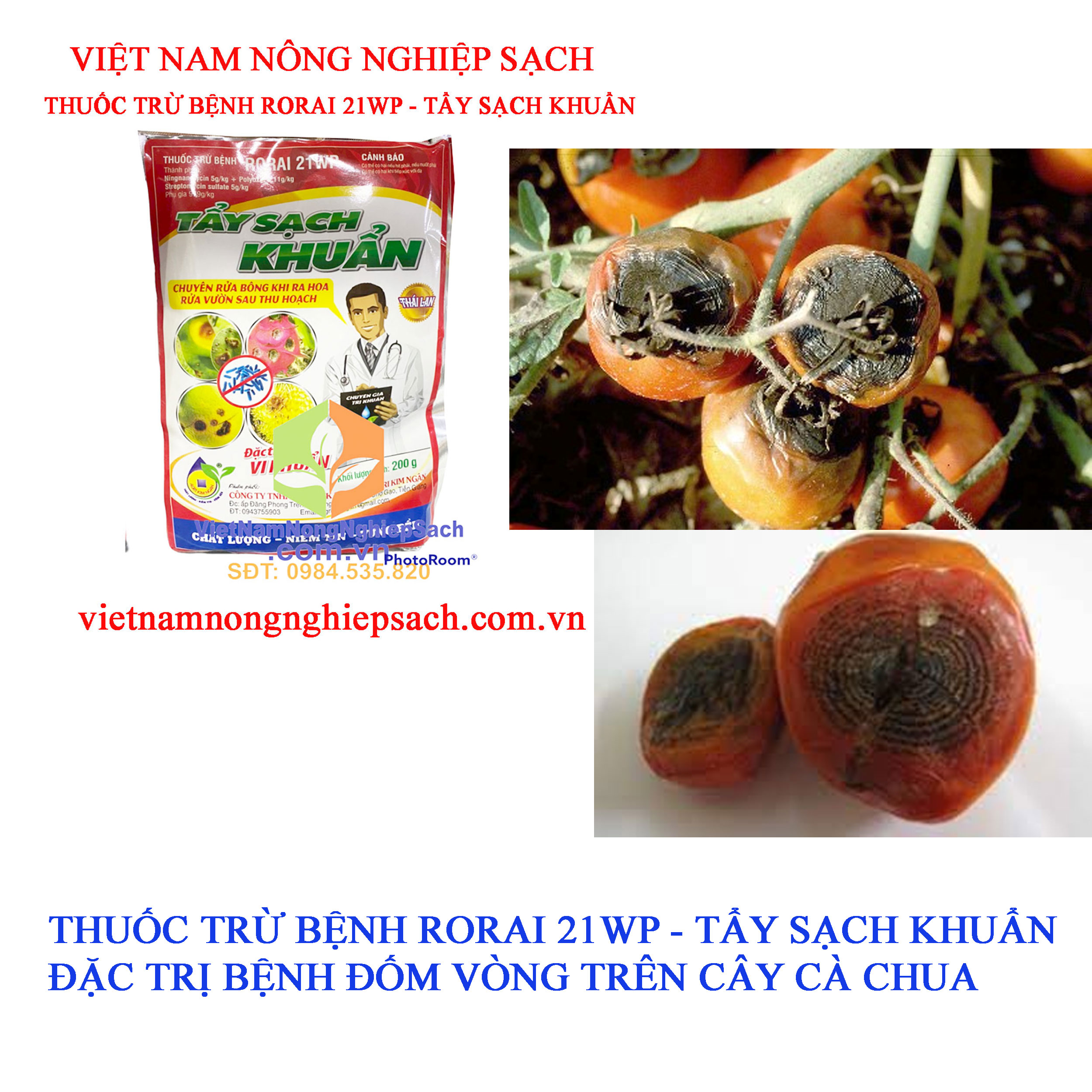 ĐỐM-VÒNG-CÀ-CHUA