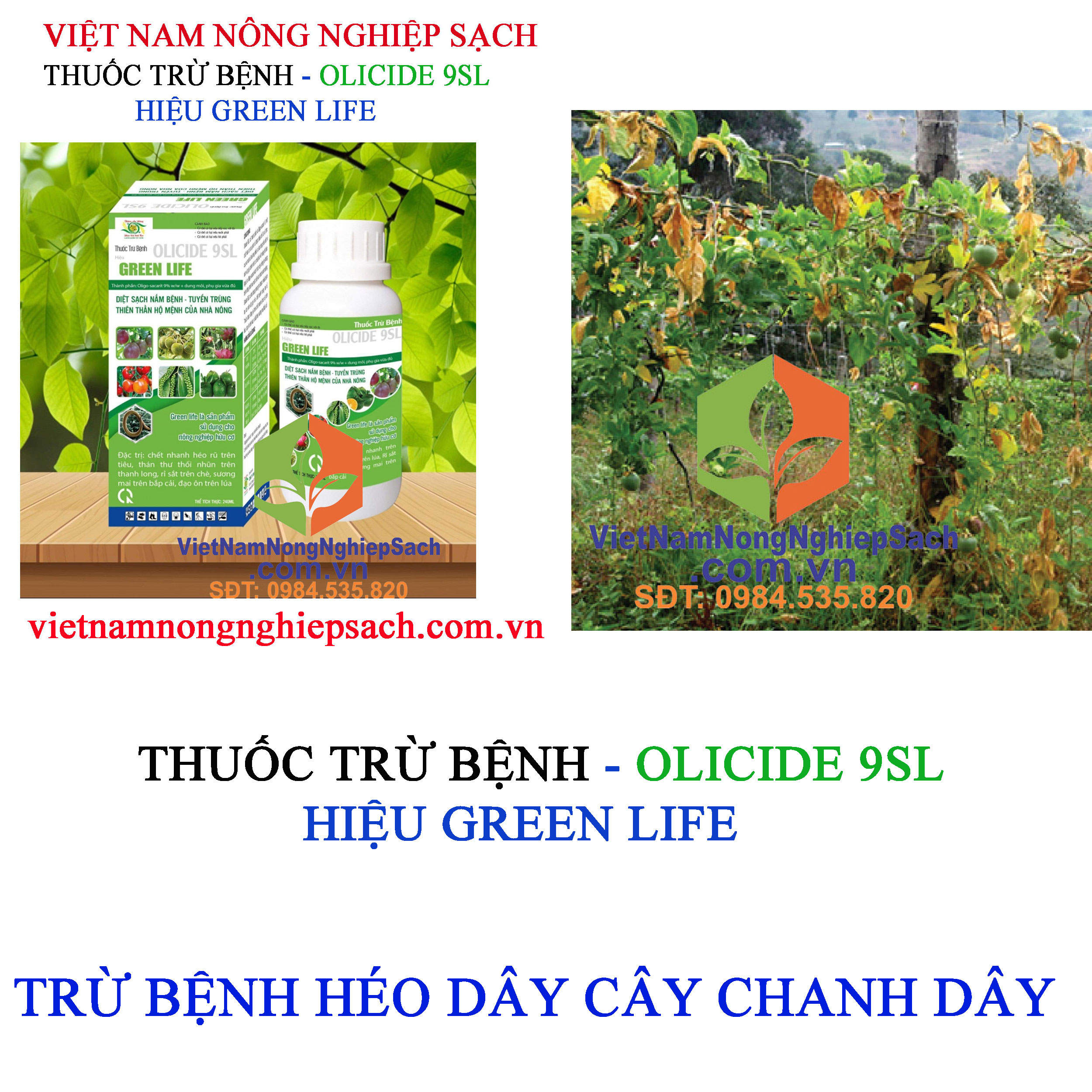 GREEN-LIFE-5