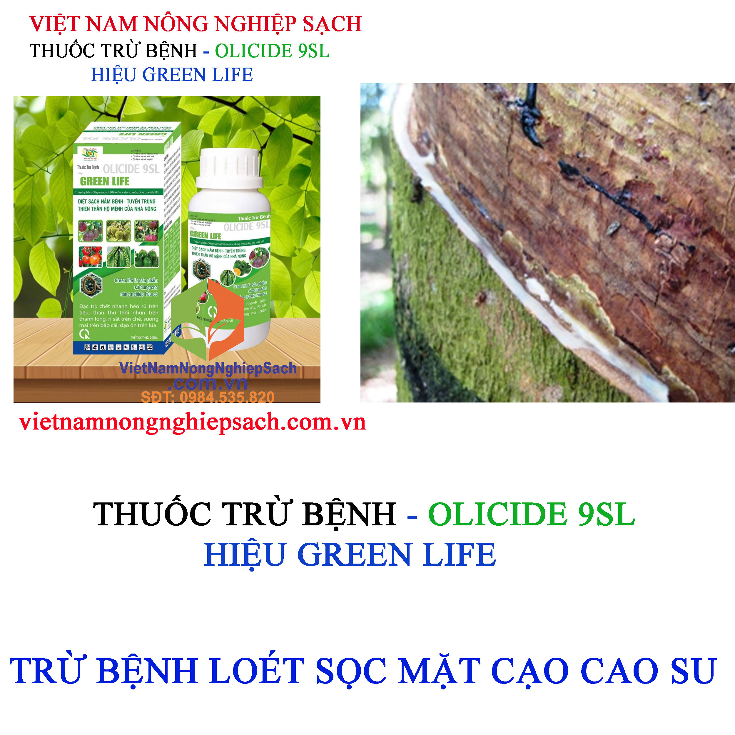 GREEN-LIFE-6