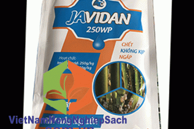 JAVIDAN 250WP – THUỐC ĐẶC TRỊ RẦY NÂU GÂY HẠI TRÊN CÂY LÚA