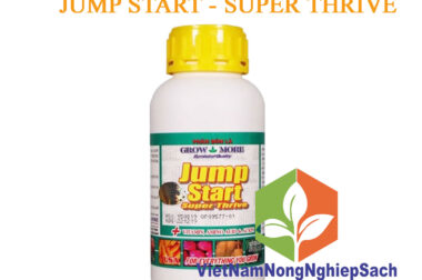 JUMP START – PHÂN BÓN LÁ KÍCH RỄ, ĐẺ NHÁNH, TRỔ BÔNG SỚM, CHỐNG VÀNG LÁ, ĐẠO ÔN, KHÔ CỔ BÔNG CHAI 500ML – VIỆT NAM NÔNG NGHIỆP SẠCH