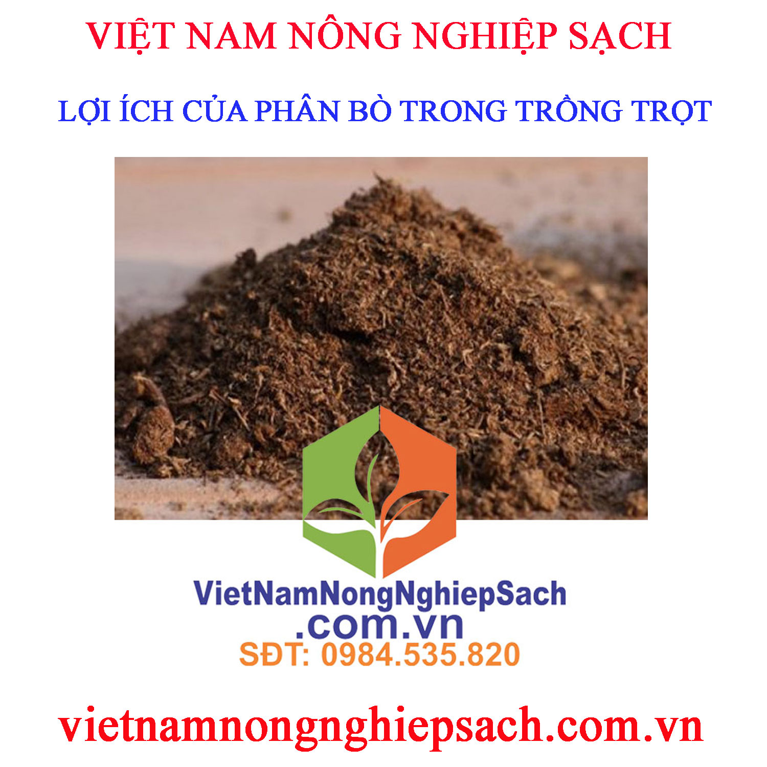 LỢI-ÍCH-PHÂN-BÒ