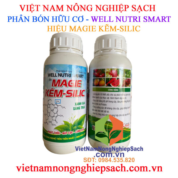 MAGIE-KẼM-SILIC