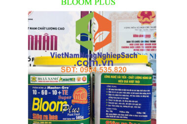 PHÂN BÓN LÁ MASTER GRO 10-60-10+TE – BLOOM PLUS SIÊU RA HOA DÀNH CHO CÂY TRỒNG HỘP 565GR – VIỆT NAM NÔNG NGHIỆP SẠCH