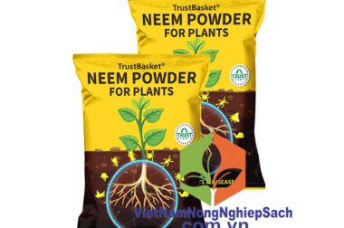 Neem Cake Powder Organic Fertilizer and Pest Repellent for Plants – VIỆT NAM NÔNG NGHIỆP SẠCH