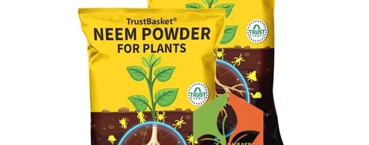 NEEM-POWDER-FOR-PLANTS