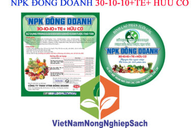 NPK ĐÔNG DOANH 30-10-10+TE+ HỮU CƠ – SỬ DỤNG TRONG GIAI ĐOẠN PHỤC HỒI, ĐÂM TƯỢC, TẠO TÁN XÔ 20KG – VIỆT NAM NÔNG NGHIỆP SẠCH