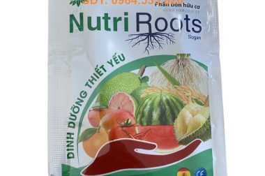 NUTRI ROOTS – PHÂN BÓN HỮU CƠ 100% NHẬP KHẨU TÂY BAN NHA DINH DƯỠNG CHO CÂY TRỒNG GÓI 25ML – VIỆT NAM NÔNG NGHIỆP SẠCH