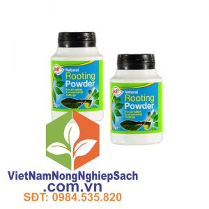 Natural-Hormone-Rooting-Powder