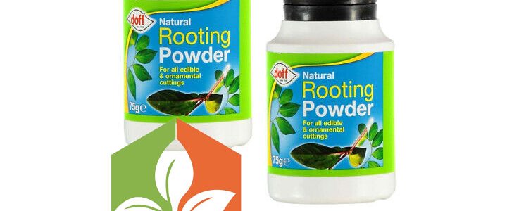 Natural-Hormone-Rooting-Powder