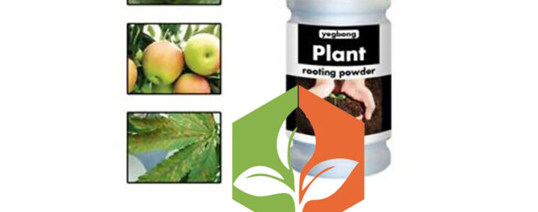 Plant-rooting-powder