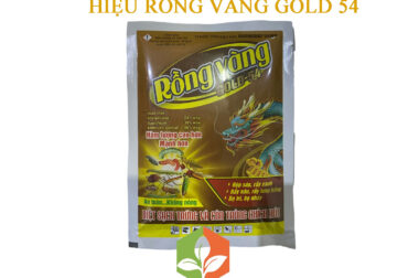 RỒNG VÀNG GOLD 54 – KHONGRAY 54WP ĐẶC TRỊ BỌ NHẢY GÂY HẠI CHO CÂY TRỒNG GÓI 70GR – VIỆT NAM NÔNG NGHIỆP SẠCH