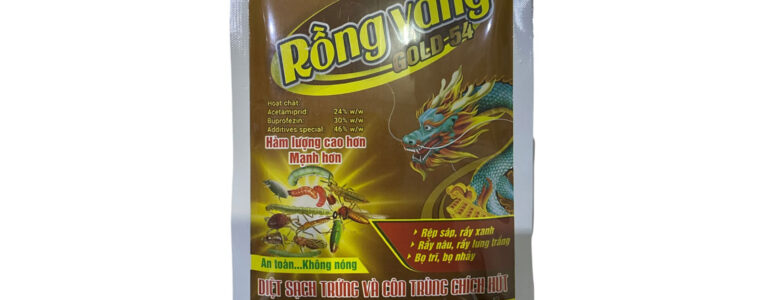 RỒNG-VÀNG-GOLD-54