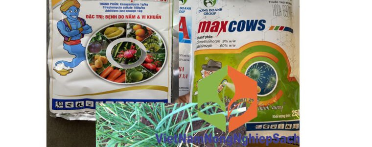 THẦN-ĐÈN-DIỆT-KHUẨN-MAXCOWS