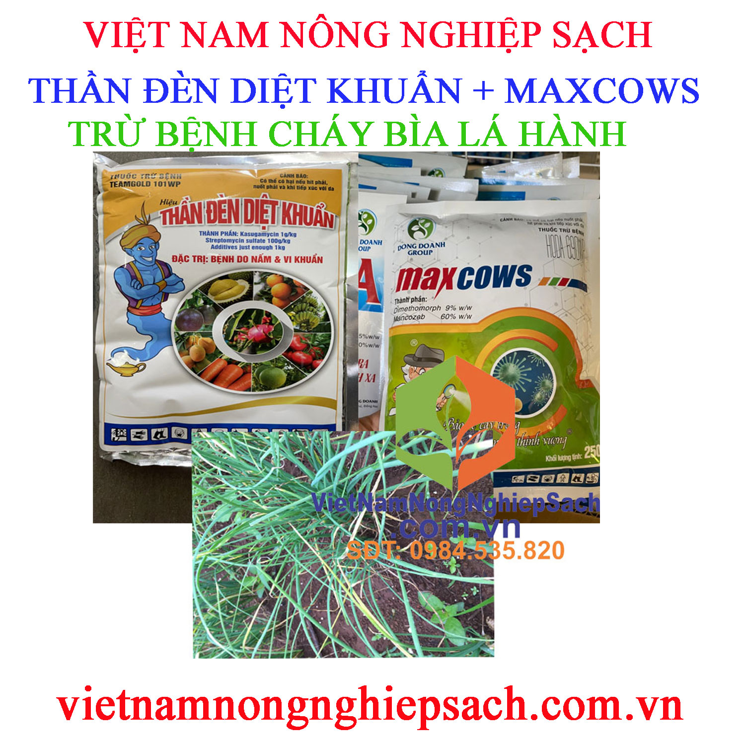 THẦN-ĐÈN-DIỆT-KHUẨN-MAXCOWS