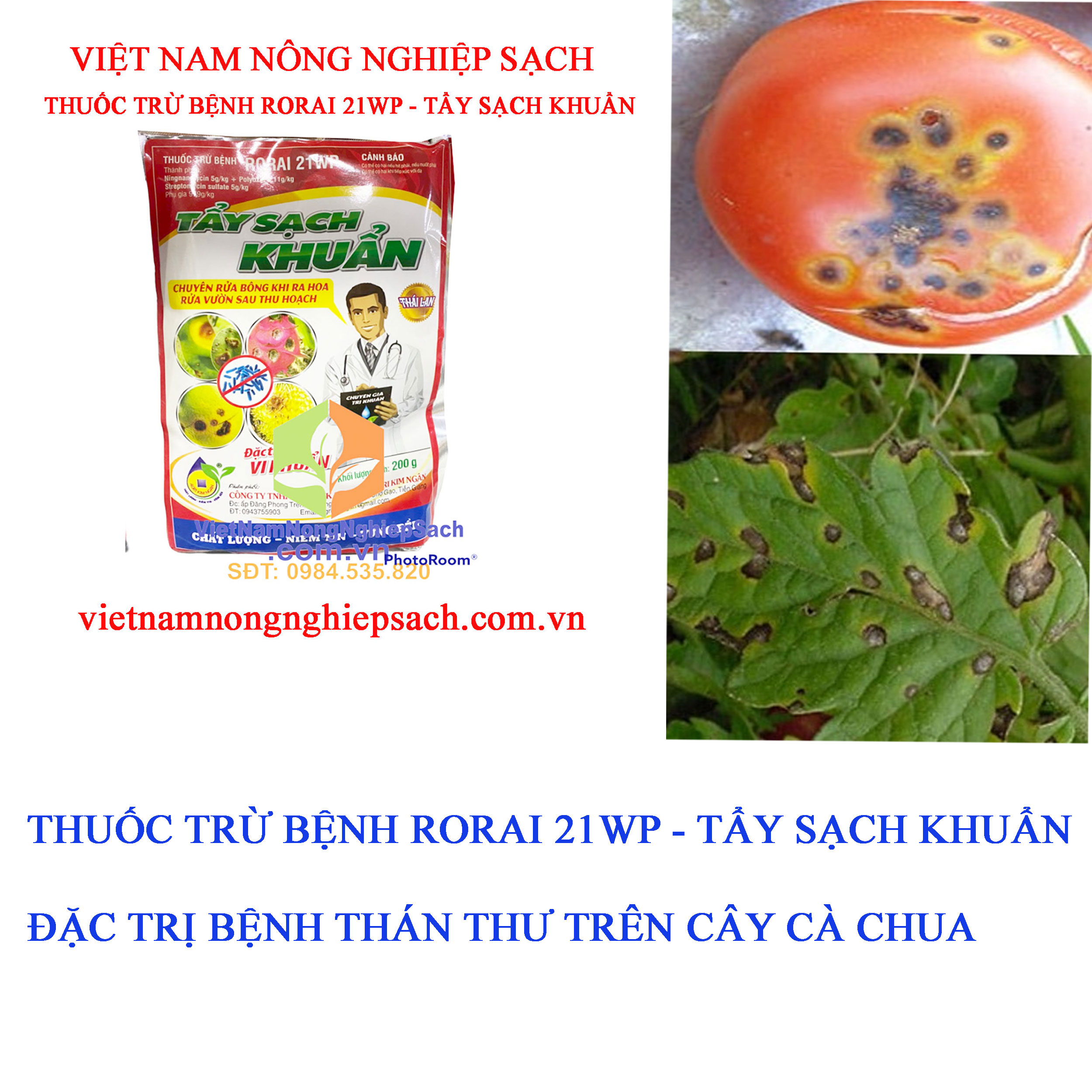 THÁN-THƯ-CÀ-CHUA